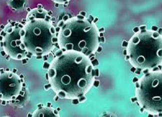 ওমিক্রন করোনা ভাইরাস সম্পর্কে আতঙ্কিত না হতে বিশ্ব স্বাস্থ্য সংস্থার আহ্বান bankbima.xyz