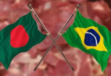 ১২০ টাকায় ব্রাজিলের গরুর মাংস বাংলাদেশে! ব্রাজিলের গরুর মাংস